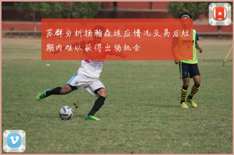 苏群分析杨瀚森适应情况交易后短期内难以获得出场机会