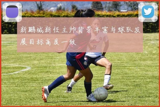 新鹏城新任主帅背景丰富与球队发展目标高度一致